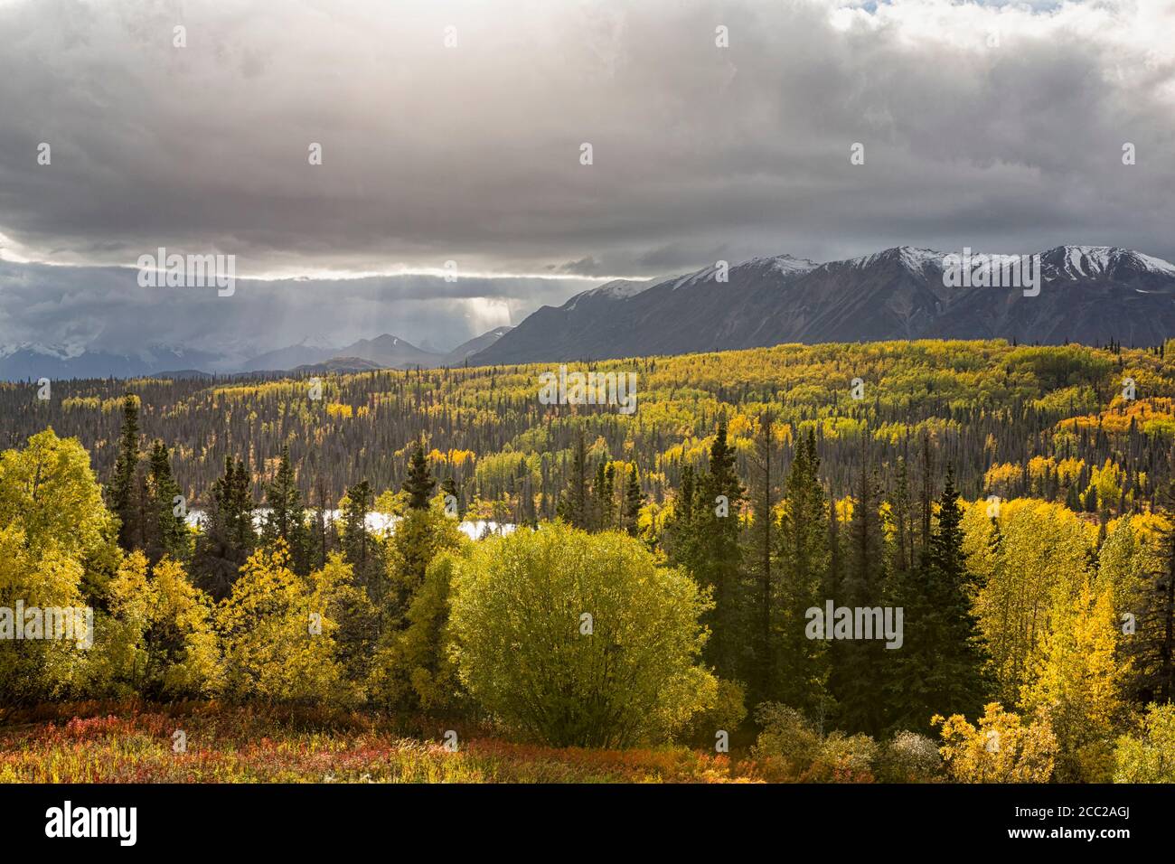 Canada, Yukon Territory, View of landscape Stock Photo