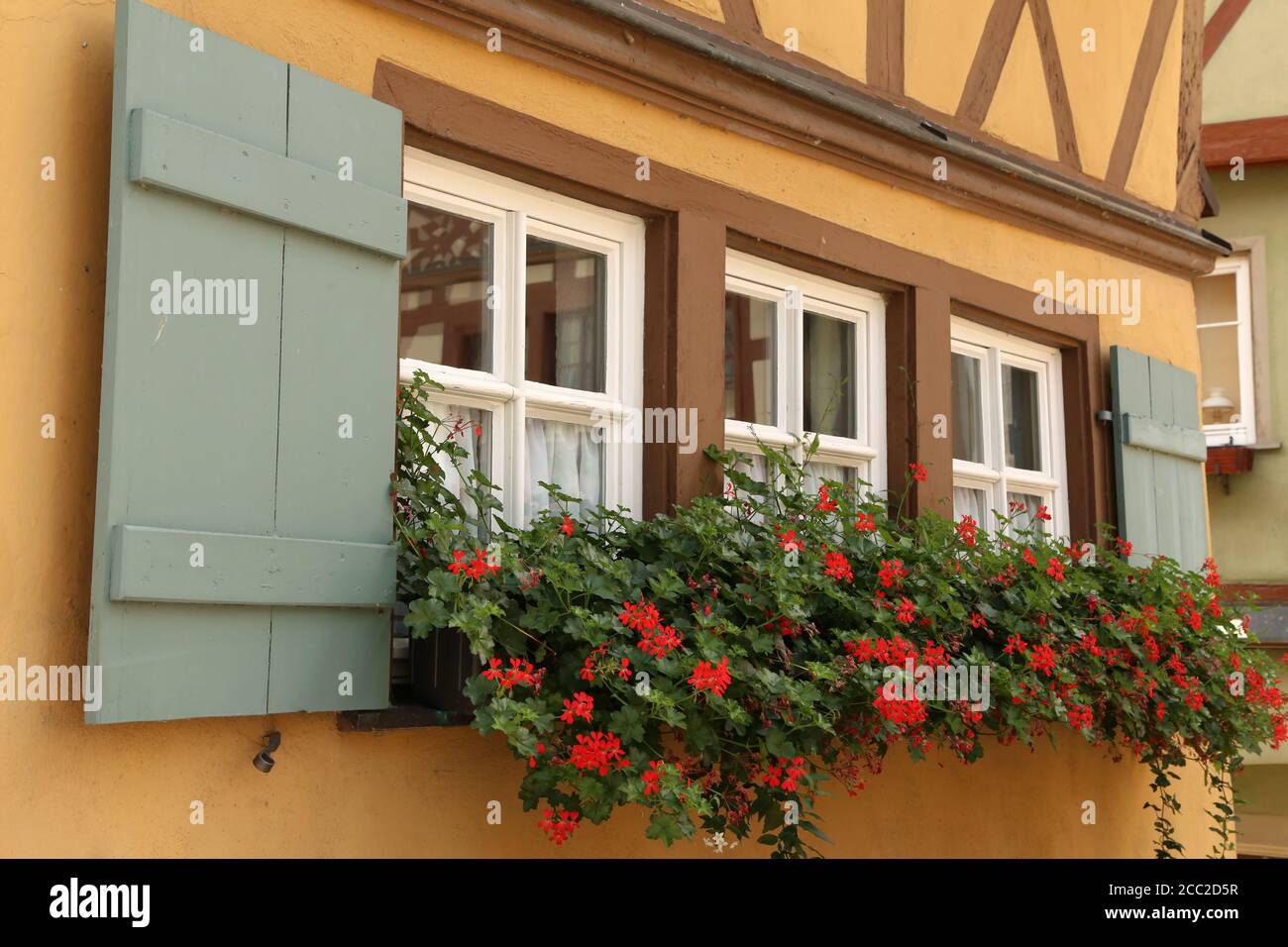 Beautiful red geranium blooms on shuttered windows Stock Photo