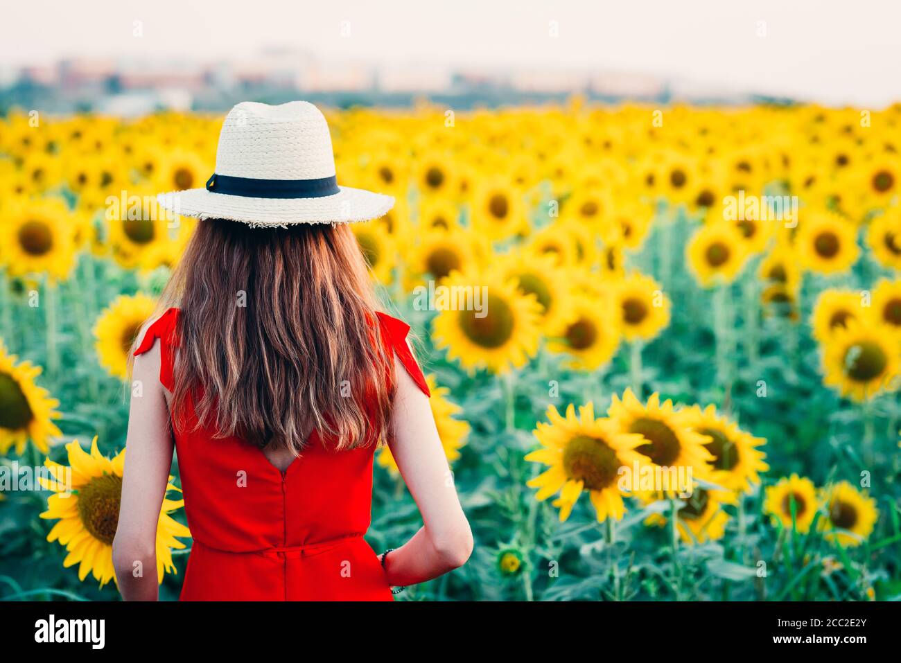 woman in red dress and hat entering sunflower field. Stock Photo