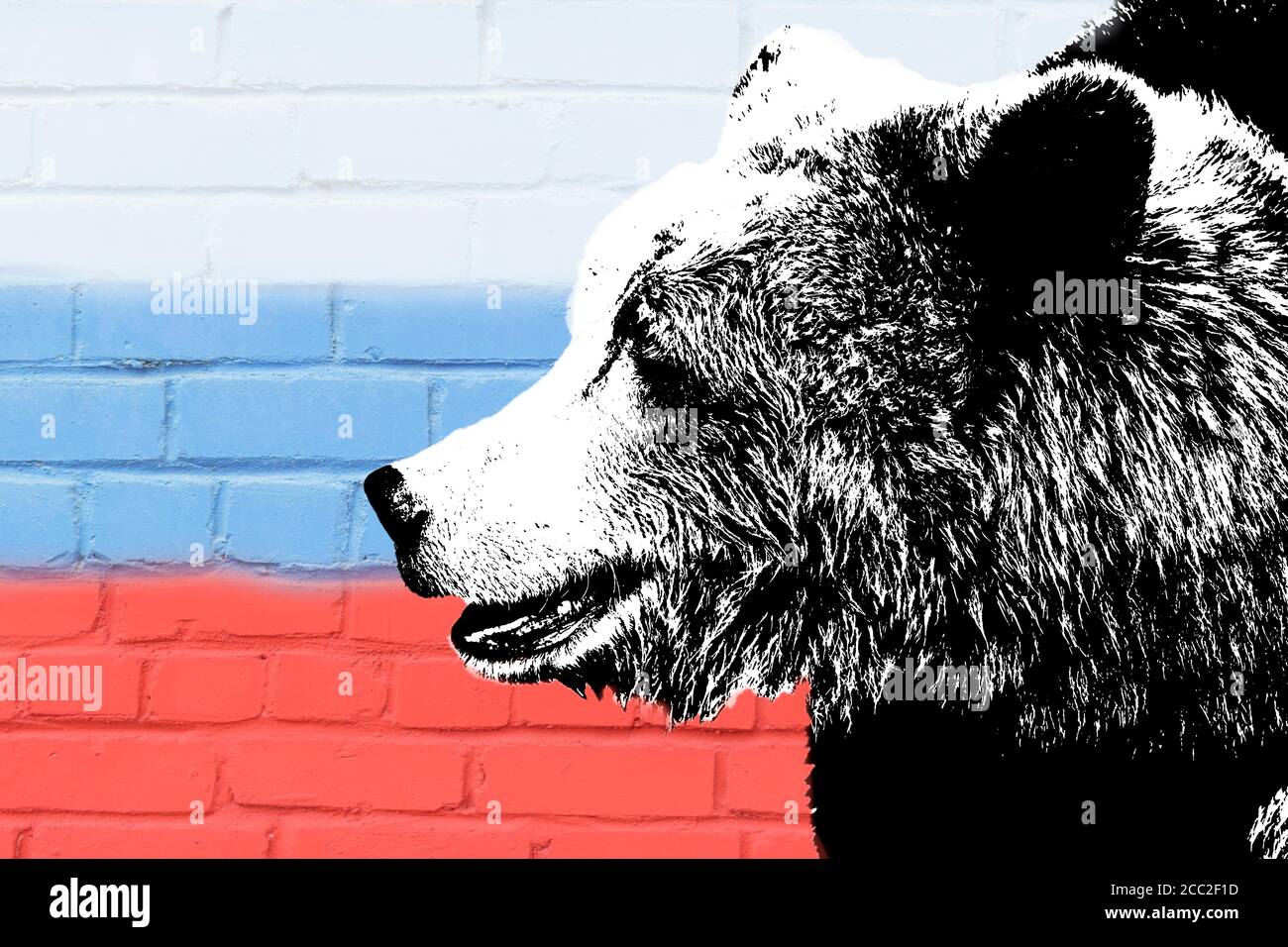 Bear in a Hat: A blog from Stetson's Program in Russian, East European, and  Eurasian Studies: Flag facts!