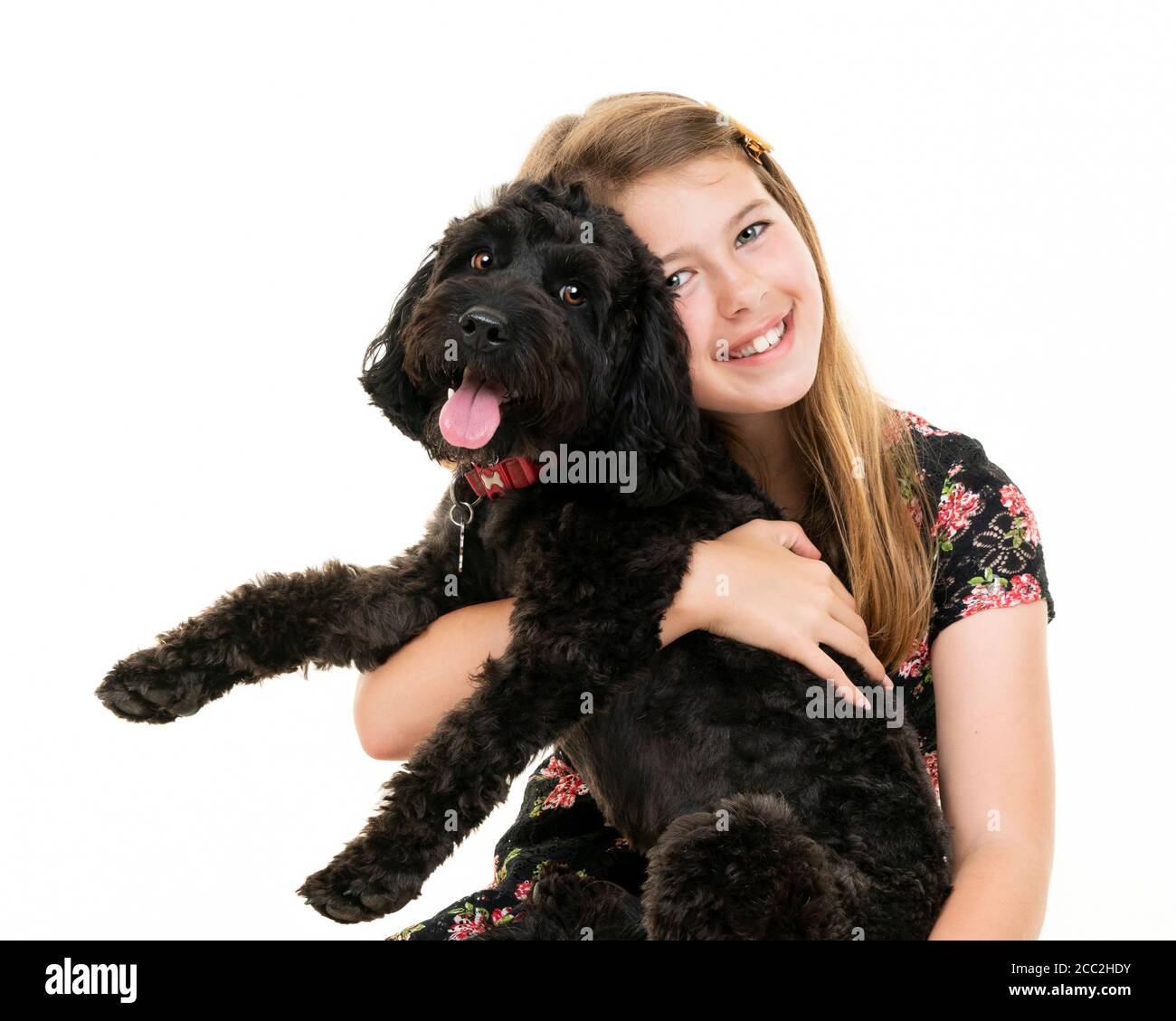 Horizontal portrait of a young girl with her pet dog on a white background in a studio or high key. Stock Photo