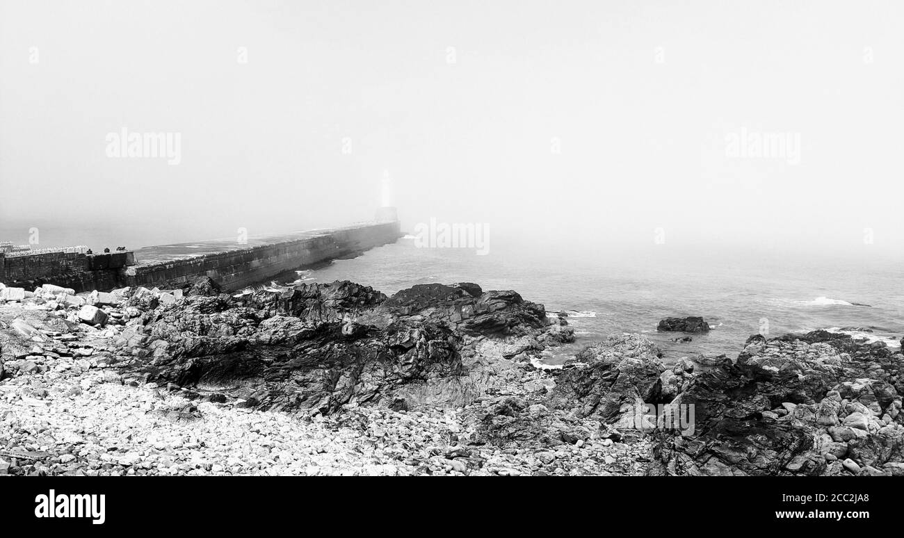Grayscale shot of a rocky shore on a foggy day Stock Photo - Alamy