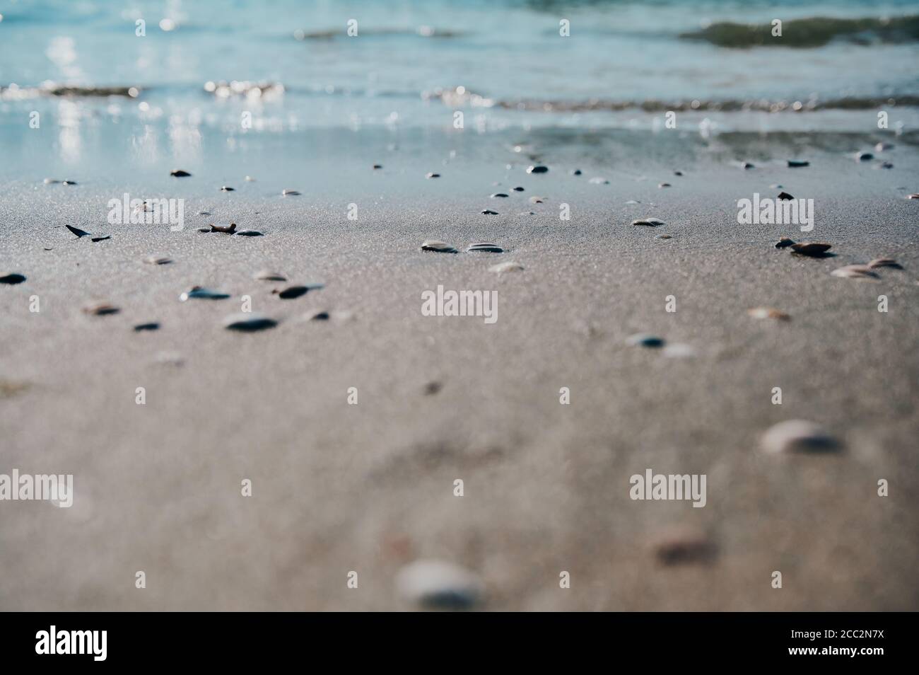blurry North Sea background with water in the background and sand with shells in the foreground Stock Photo