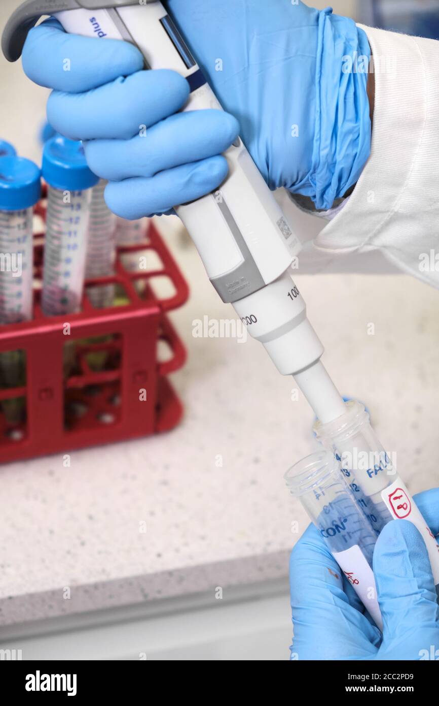 Falcone tubes hi-res stock photography and images - Alamy