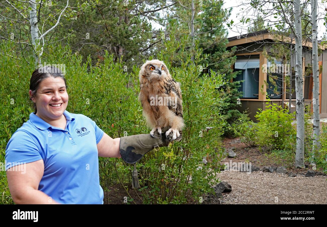Largest Owl In The World