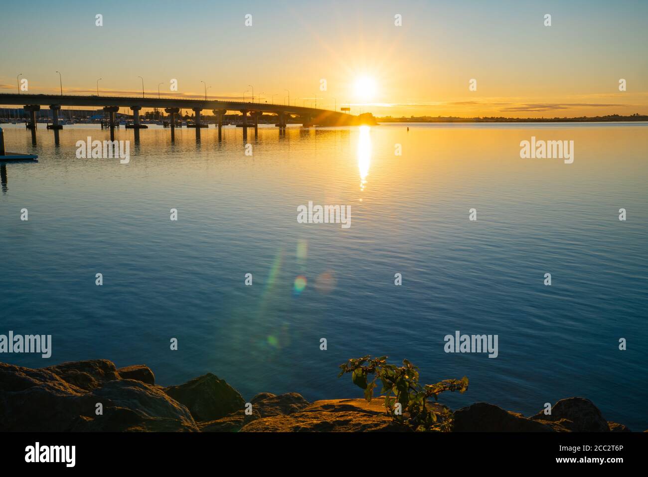 Sweeping lines of Tauranga Harbour Bridge over calm blue water with ...