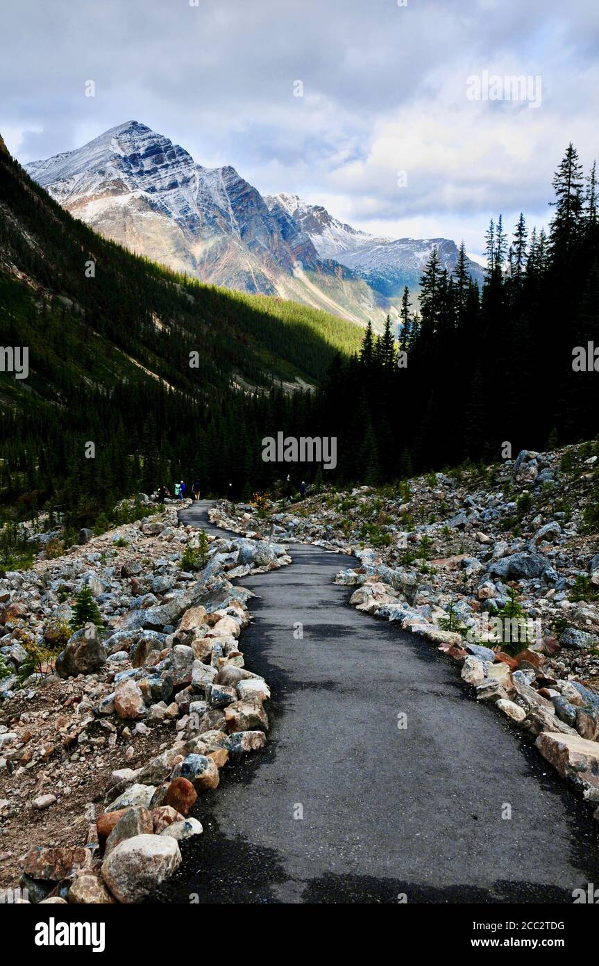 Path to Edith Cavell Meadows and Glacier Stock Photo - Alamy