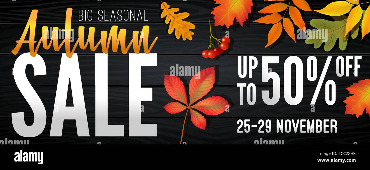 Advertising banner about Autumn Sale at the end of season with bright fall leaves. Invitation for shopping with 50 percent off. Trendy style, dark red Stock Vector