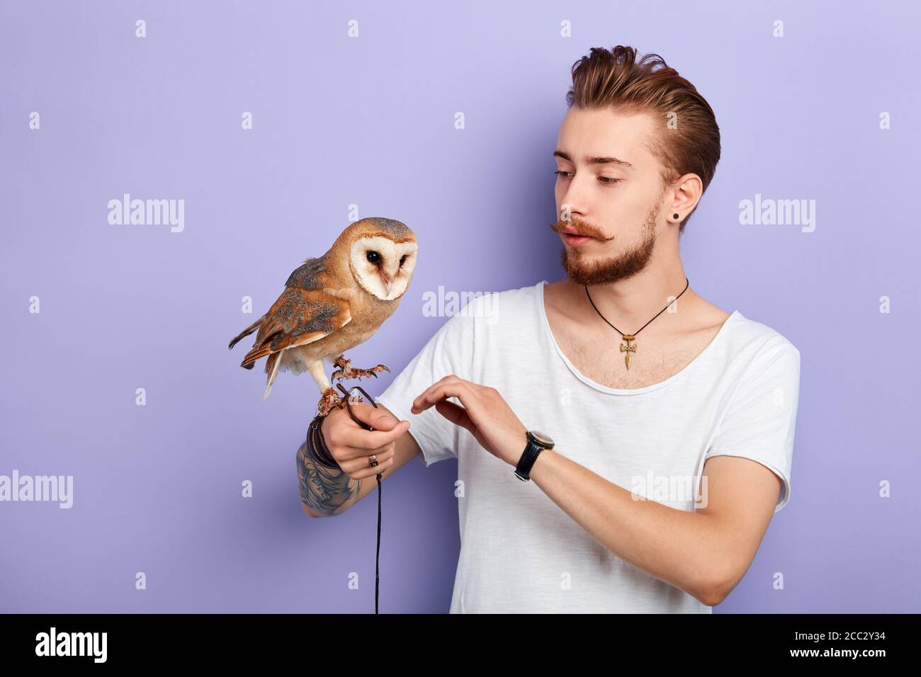 young man studing the behavior of owls. animal expert cares of birds