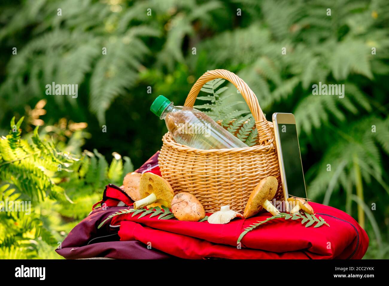 When going to the mushroom picking, bring a charged phone, a water bottle and a warm colored jacket in case of getting lost in the forest. Stock Photo