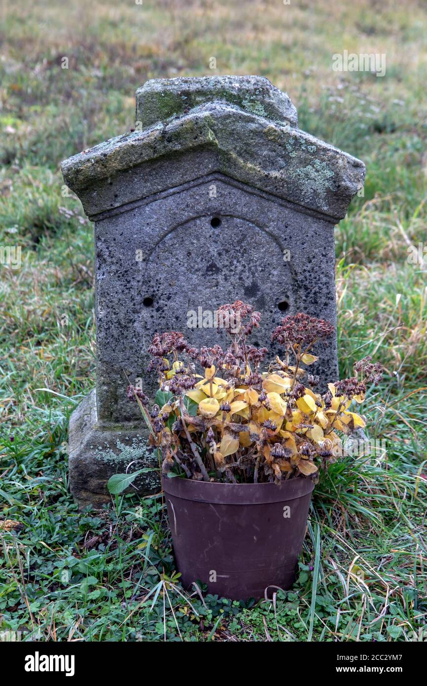 A ancient tombstone with withered flowers in a flowerpot Stock Photo