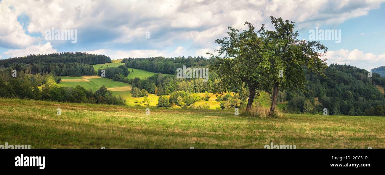 beautiful landscape with meadow, trees, forests, in the background wooded hills and blue sky with clouds Stock Photo