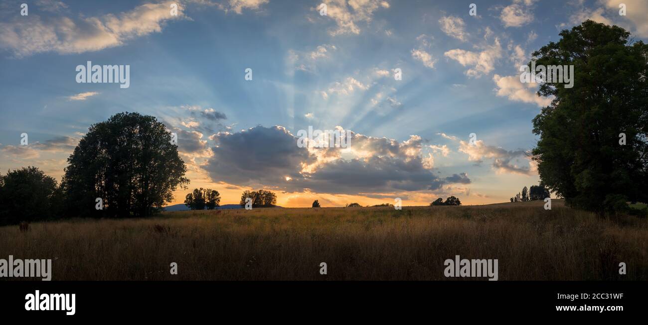 meadow with trees at sunset - setting sun, summer evening in the countryside Stock Photo