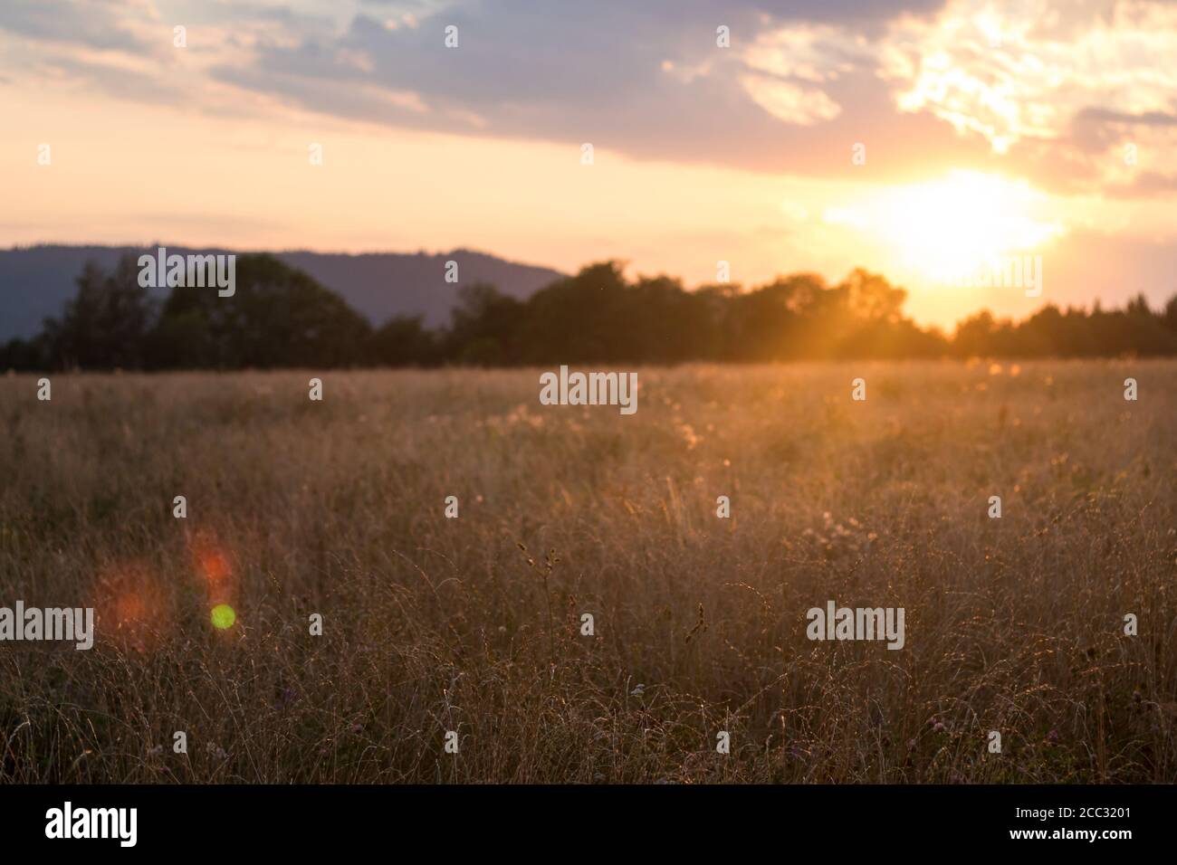 field at sunset - setting sun, summer evening in the countryside Stock Photo