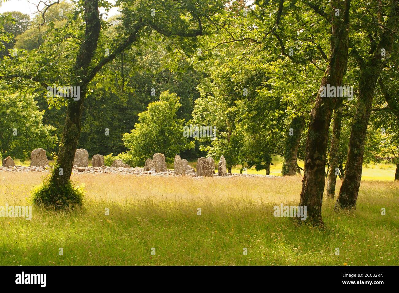 A view of Temple Wood stone circle, Kilmartin Glen, Argyll, Scotland amongst the trees and grass a complex ritural and funerary site, 2,000 years old Stock Photo