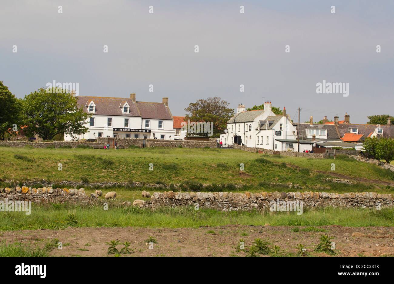 The village, Holy Island, Northumberland, UK Stock Photo Alamy