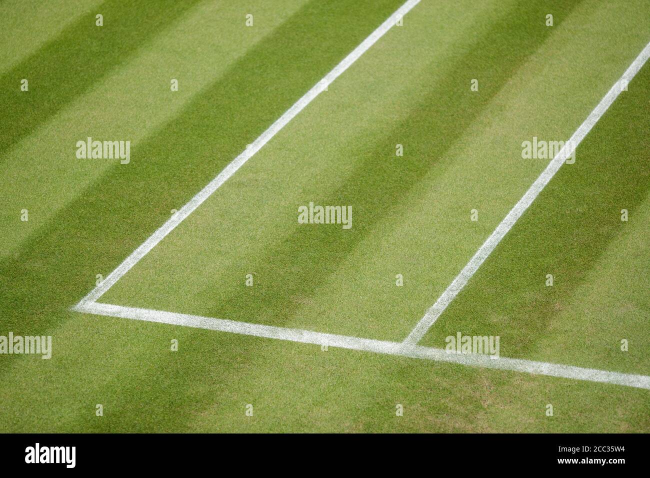 Court lines on a tennis court Stock Photo Alamy