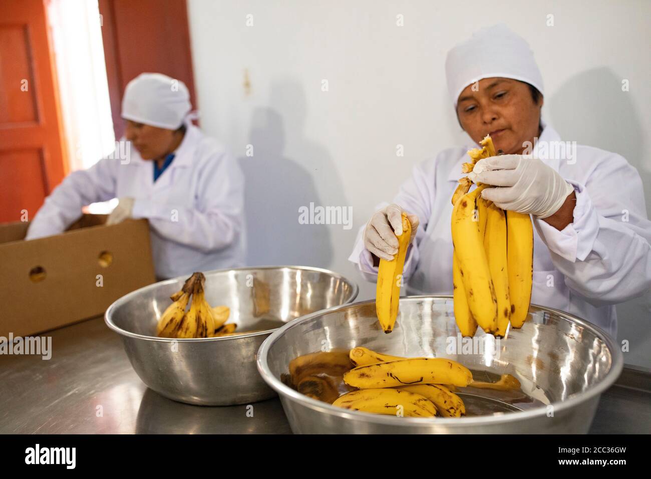 Women from a local banana growers' cooperative make banana jam at a