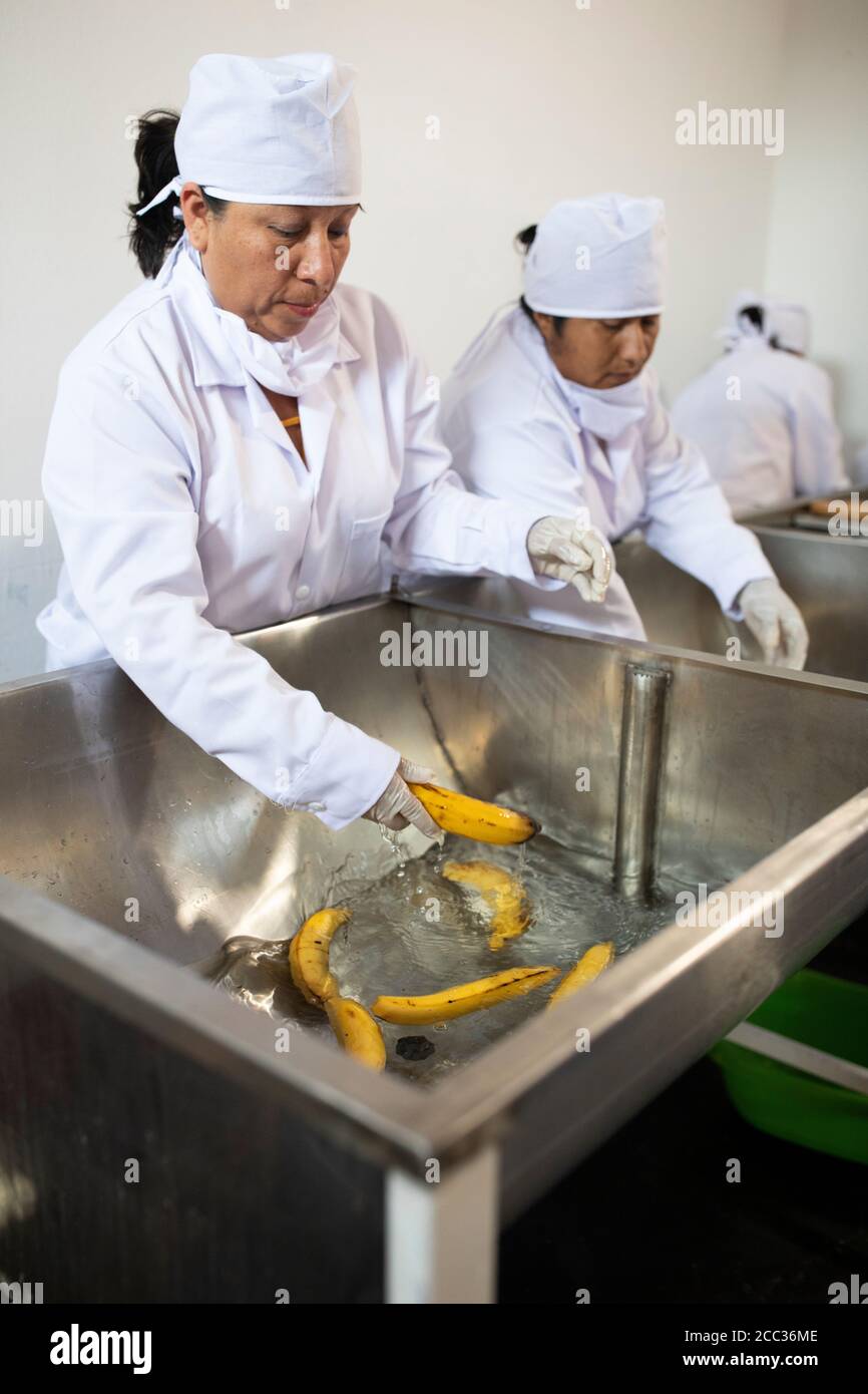 Women from a local banana growers' cooperative make banana jam at a