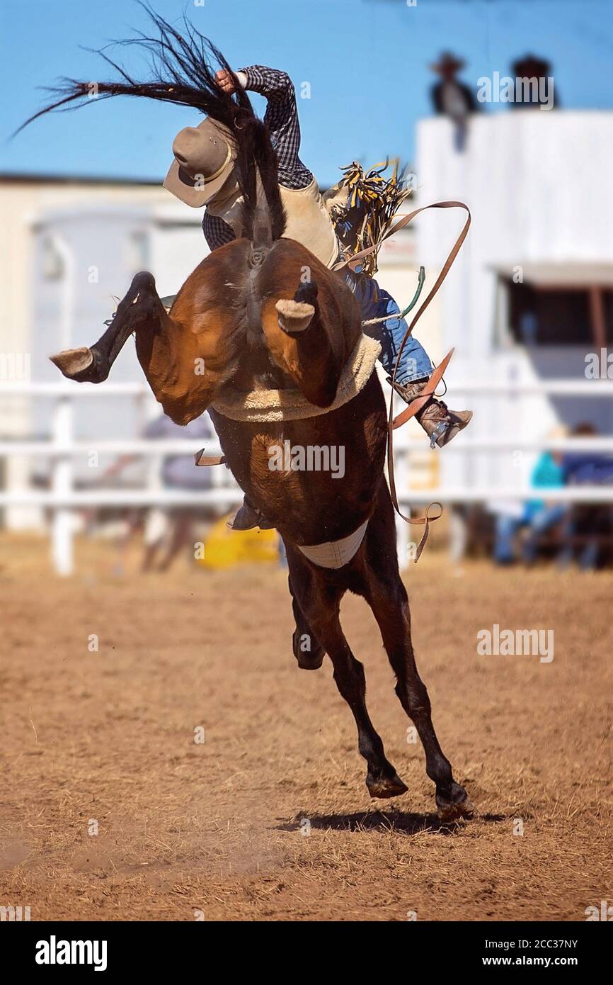 Buck chaps western hi-res stock photography and images - Alamy