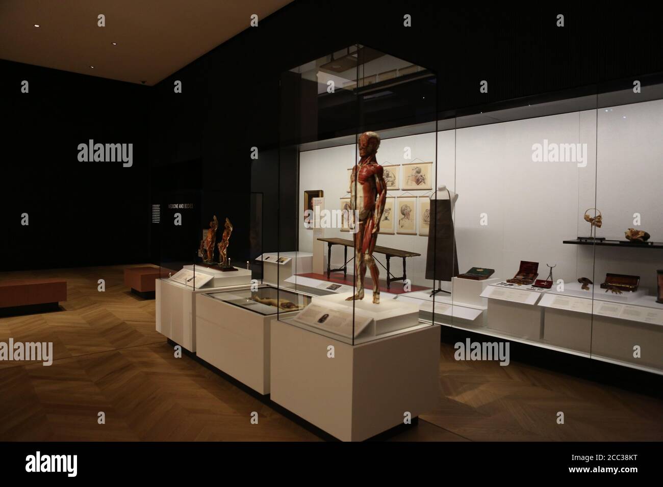 Worlds largest medicine gallery hires stock photography and images Alamy