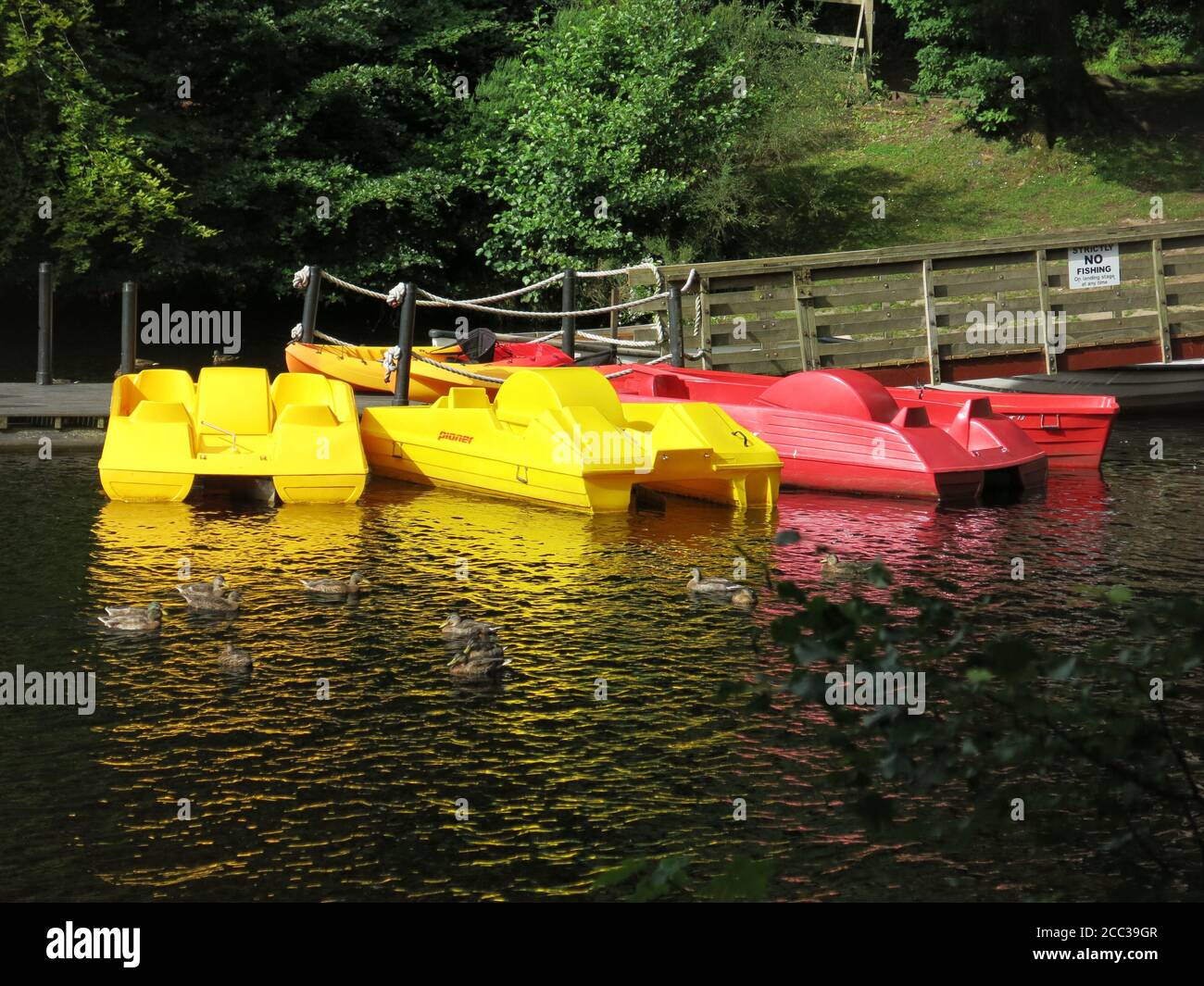 Adventure sports on Loch Faskally with pedaloes for hire at the Pitlochry Boating Station on Clunie Bridge Road. Stock Photo