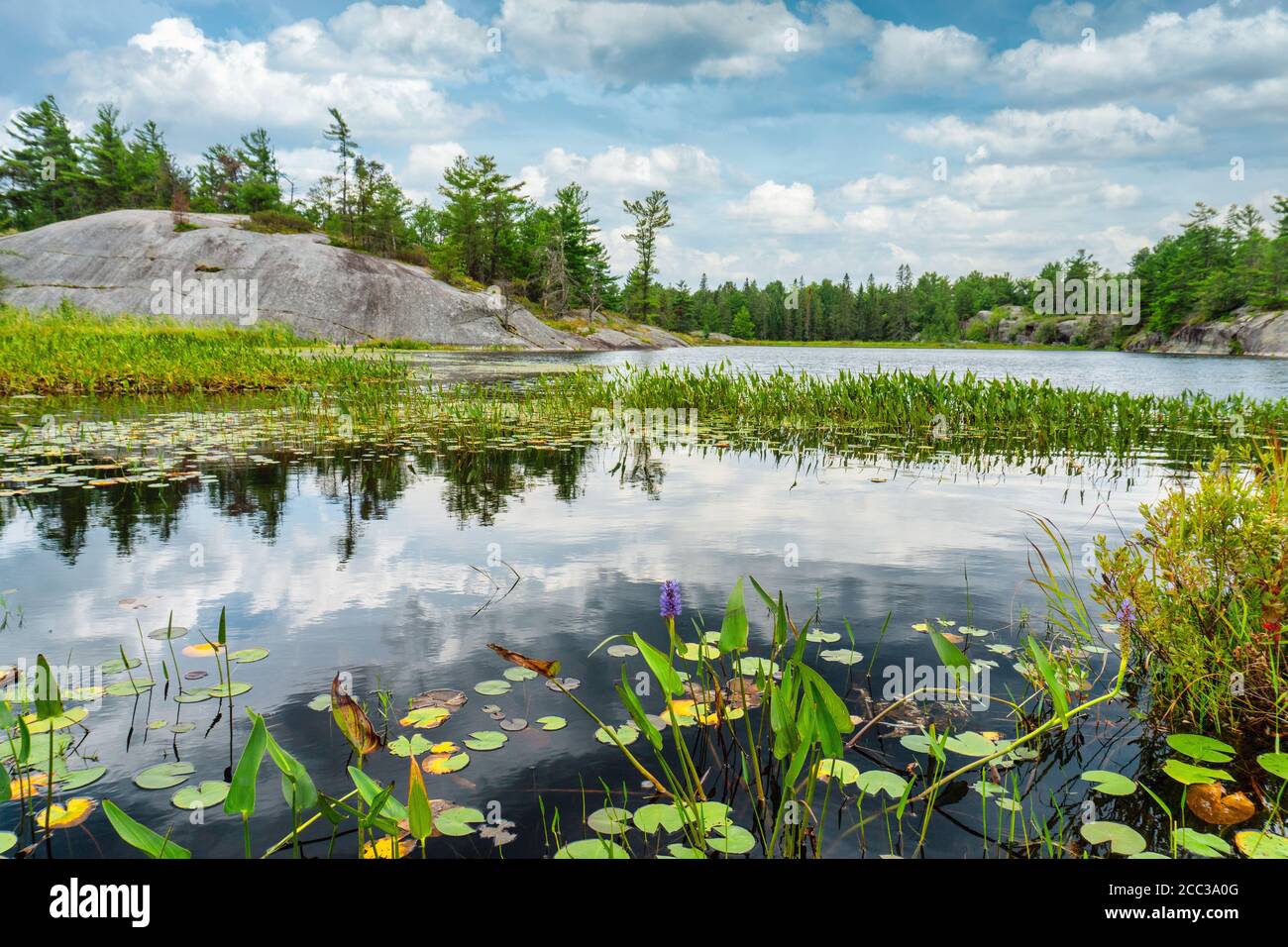 Grundy Lake Provincial Park wetlands and rock formations under dramatic summer sky Stock Photo