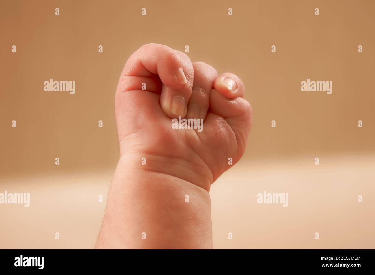 Newborn baby's hand clenched into a fist Stock Photo Alamy
