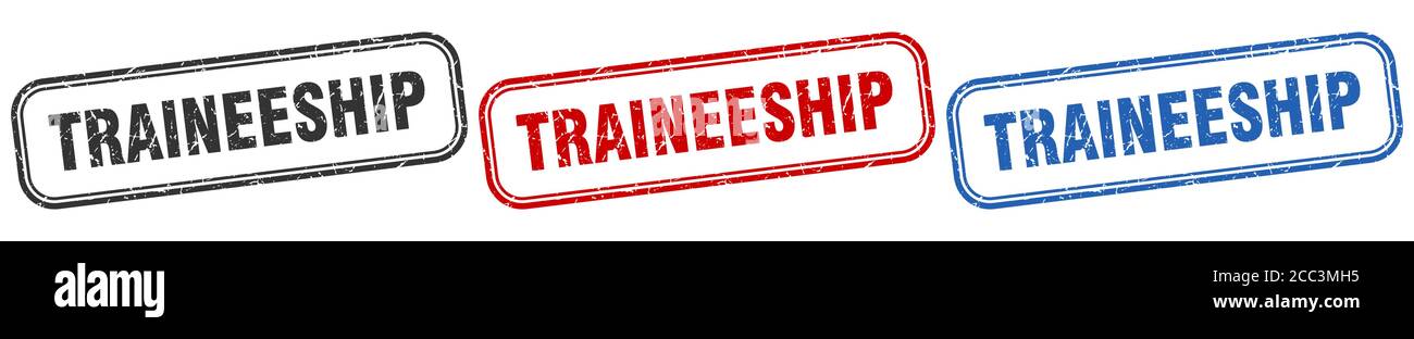 traineeship square isolated sign set. traineeship stamp Stock Vector