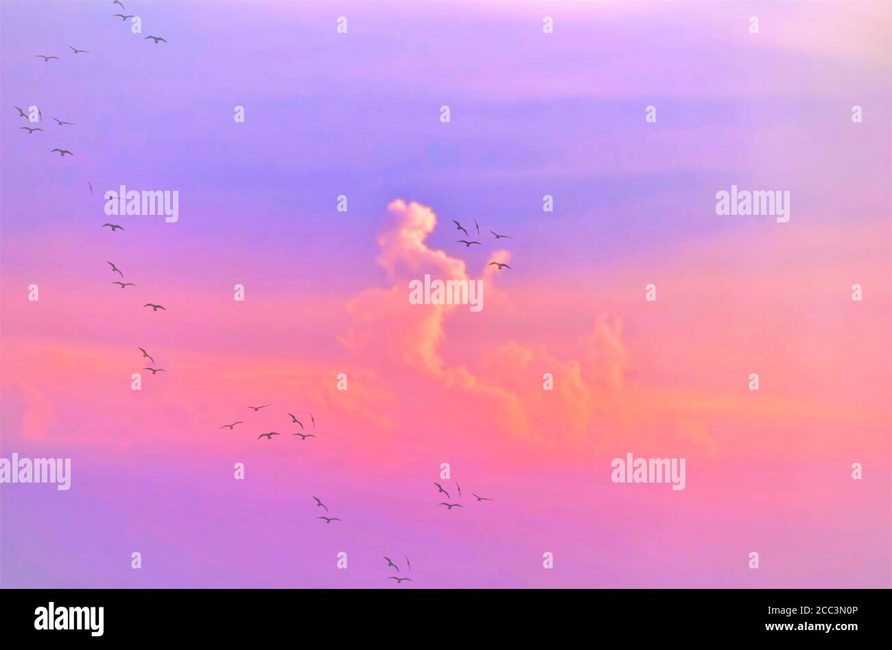 beautiful-background-of-pink-clouds-with-birds-crossing-the-horizon