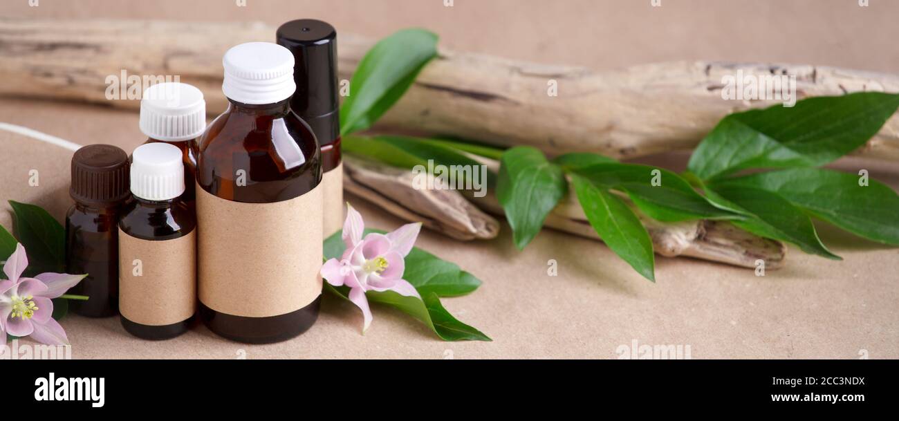 Download Natural Organic Cosmetic Skincare Packaging Mock Up With Leaves And Flowers Eco Friendly Bio Science Beauty Concept Bottle For Branding And Label W Stock Photo Alamy