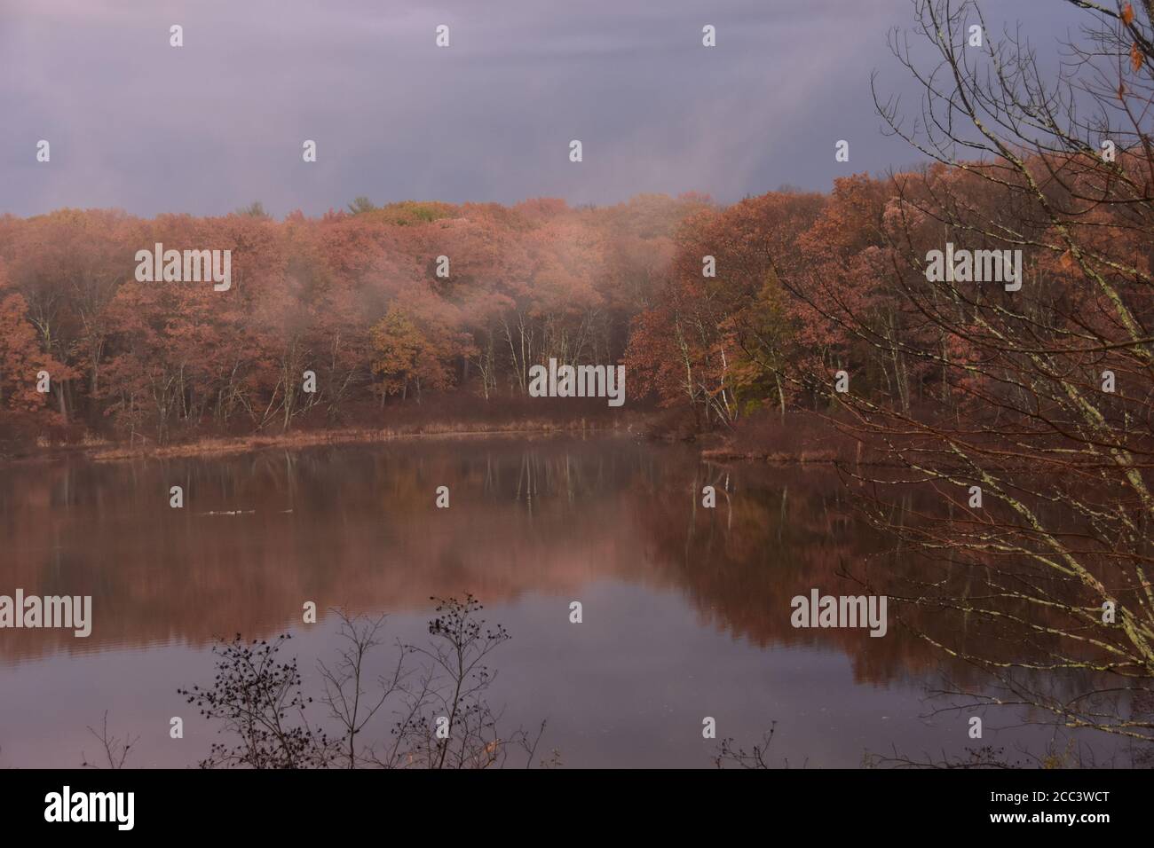 Misty autumn landscape in Massachussetts. Halloween weather. Stock Photo