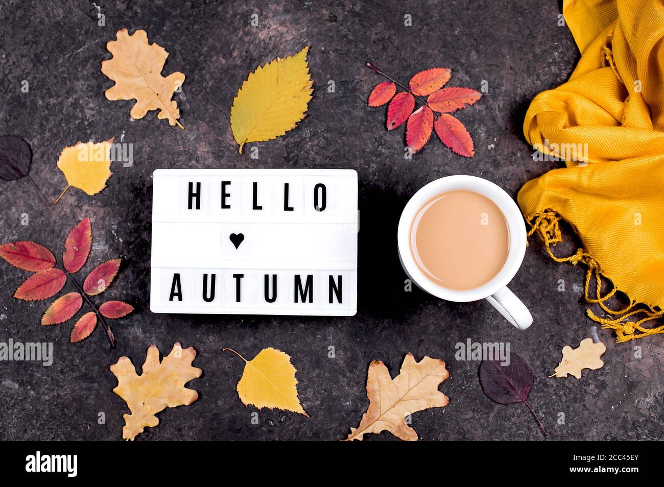 Hello Autumn High Resolution Stock Photography And Images Alamy