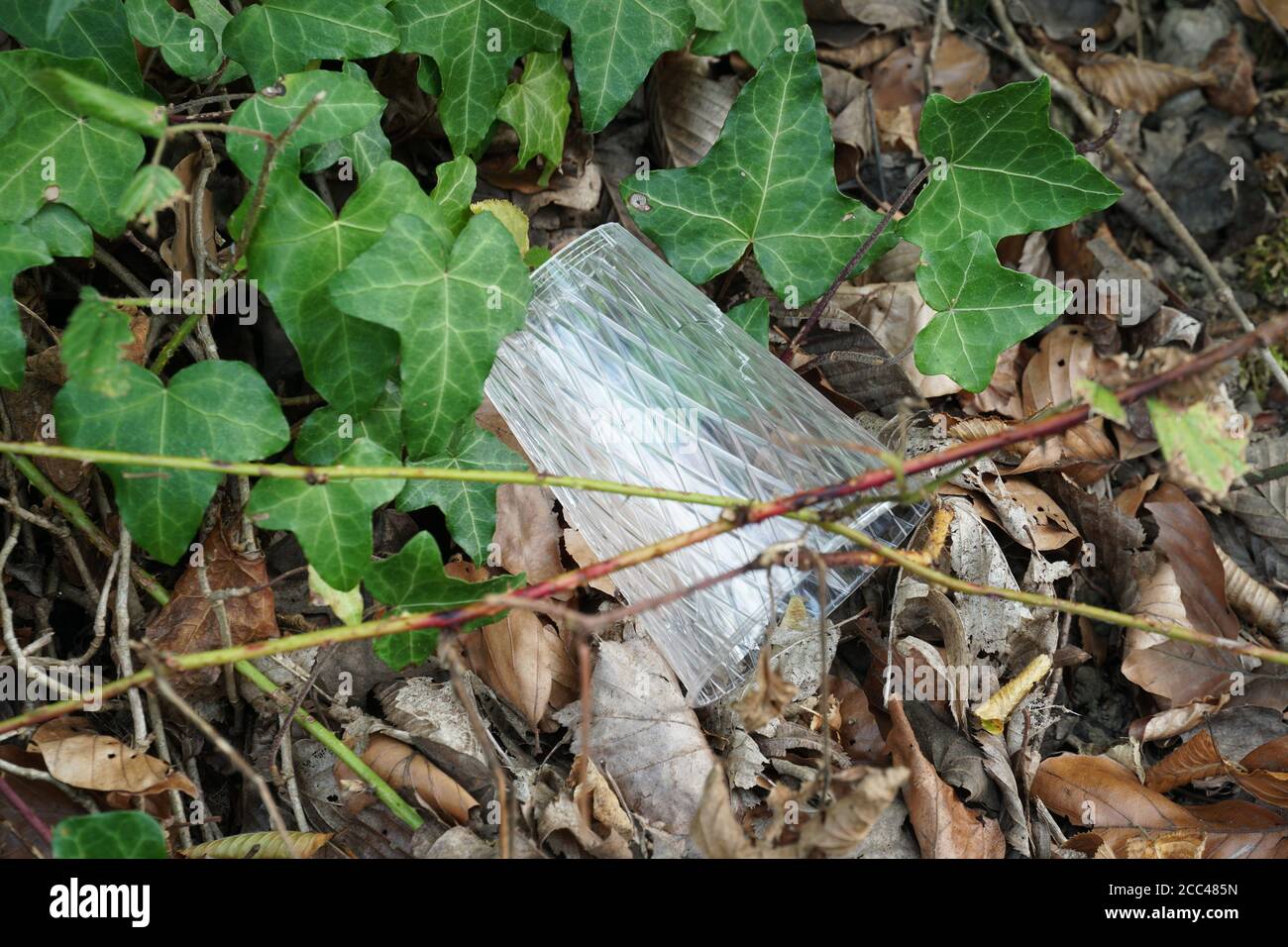Textured plastic cup on the ground among dry brown leaves and ivy in village Urdorf, Switzerland. Stock Photo