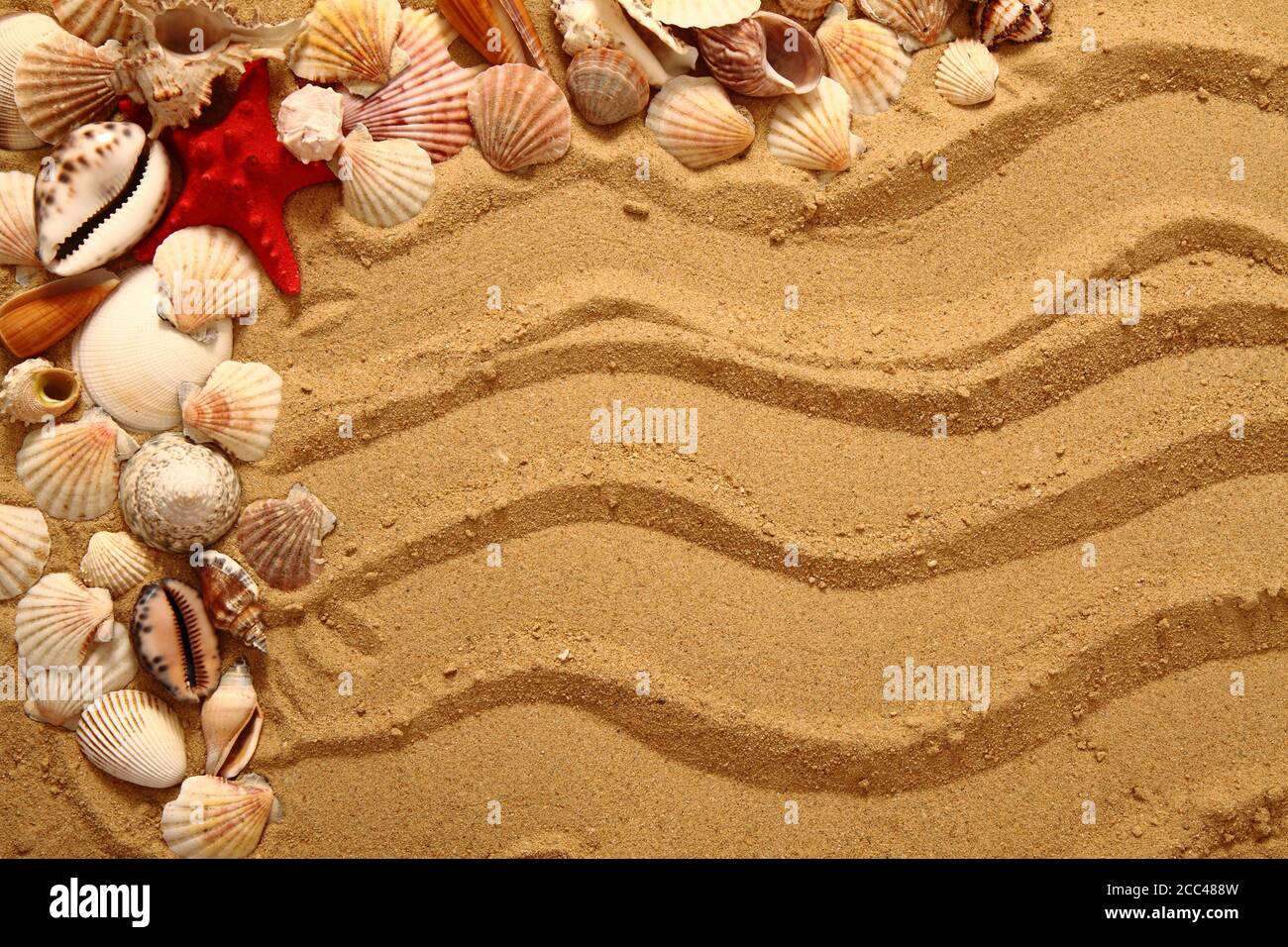 Shell Nice Background sand and shells as very nice summer background Stock Photo - Alamy