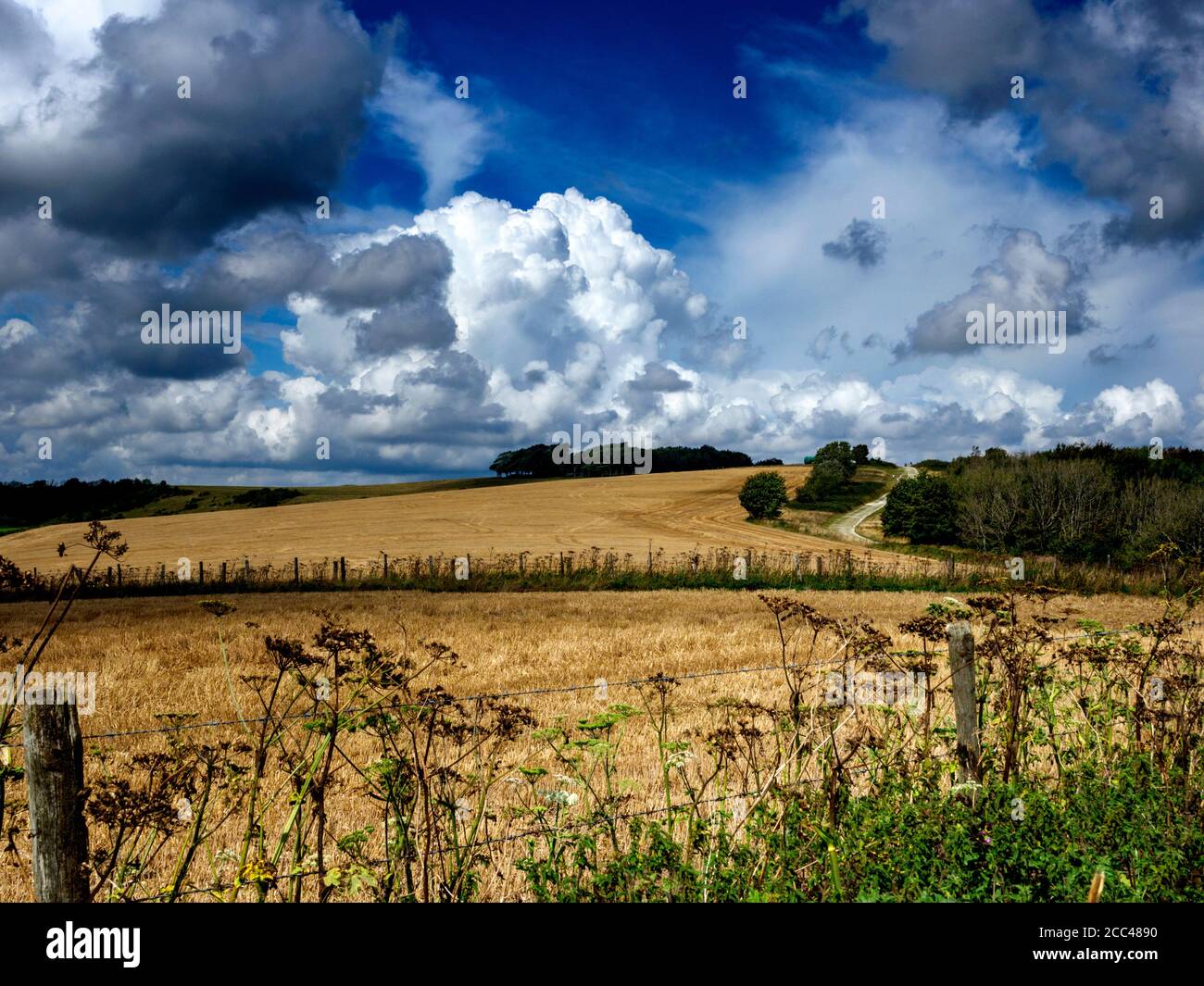 Dramatic cloud formations above the pre-historic hill fort of Chanctonbury Ring on the South Downs above Steyning, West Sussex Stock Photo