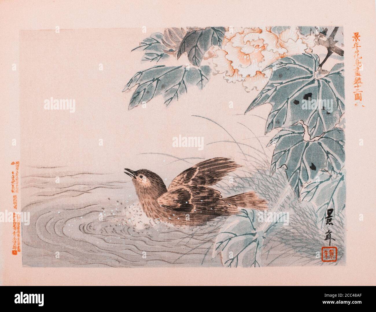 Imao Keinen: Keinen Kacho Gafu (Four Seasons Bird and Flower Albums), Basing Bird. Japan. 1892 Imao Keinen (1845 – 1924) was a Japanese painter and pr Stock Photo