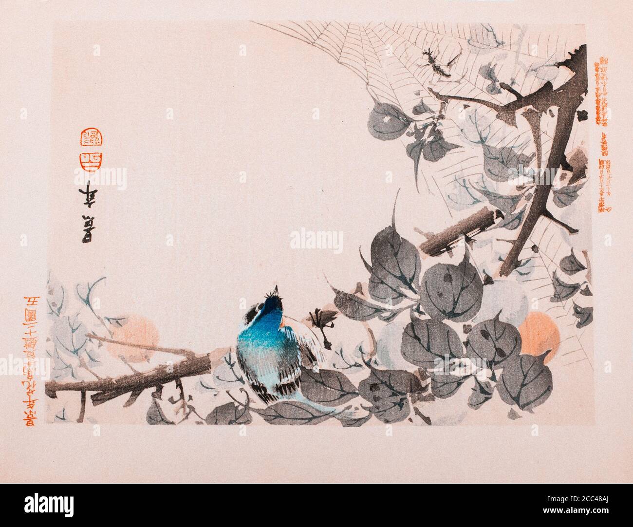 Imao Keinen: Keinen Kacho Gafu (Four Seasons Bird and Flower Albums); Blue Headed Bird. Japan. 1892 Imao Keinen (1845 – 1924) was a Japanese painter a Stock Photo