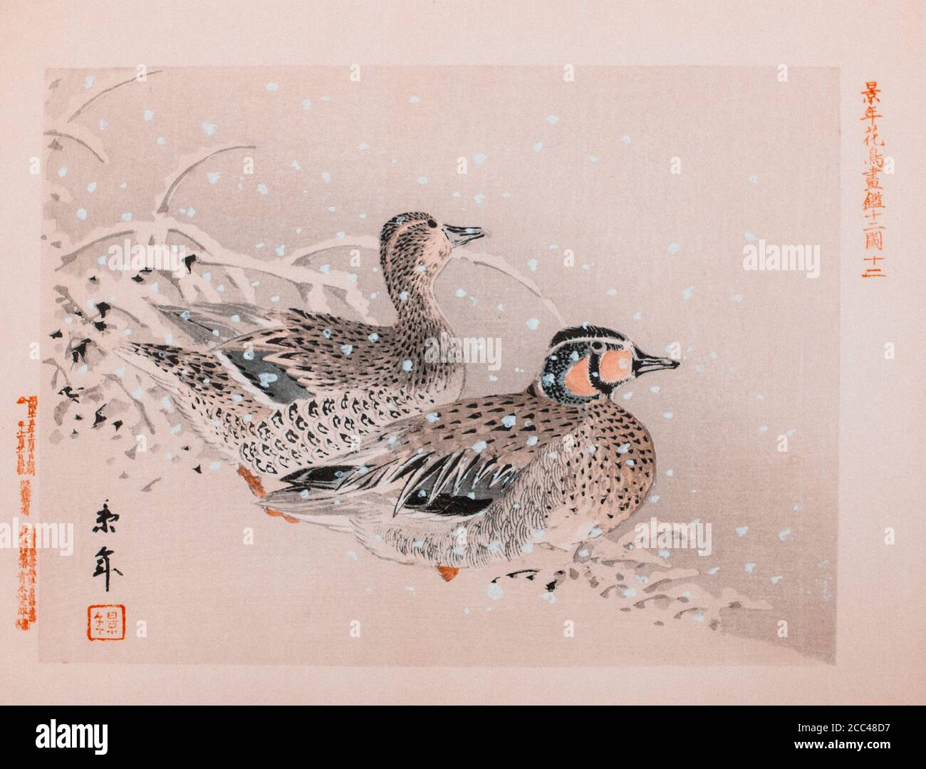 Imao Keinen: Keinen Kacho Gafu (Four Seasons Bird and Flower Albums); Mallard Ducks. Japan. 1892 Imao Keinen (1845 – 1924) was a Japanese painter and Stock Photo