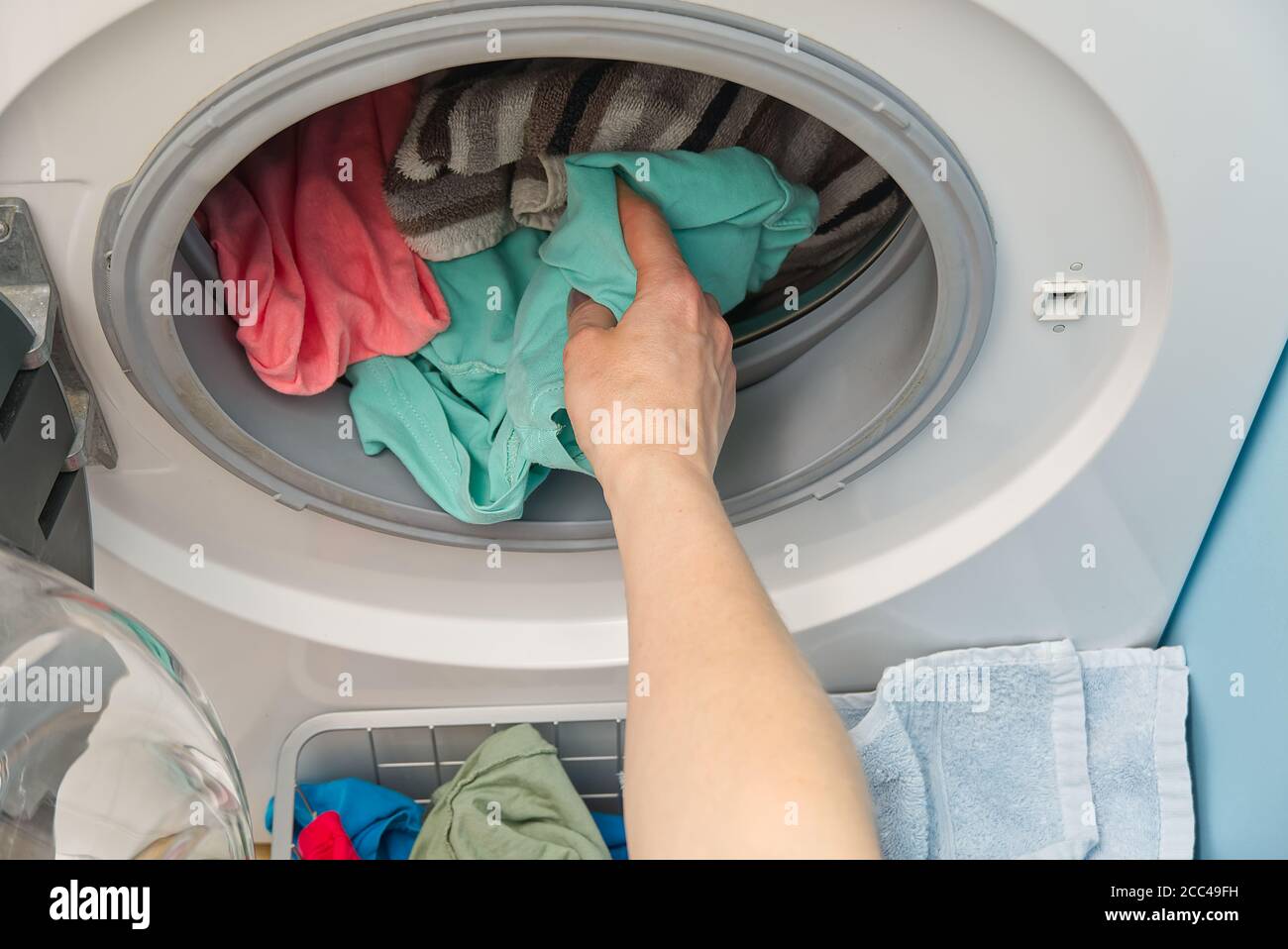woman hands takes out the laundry from the washing machine. woman puts ...