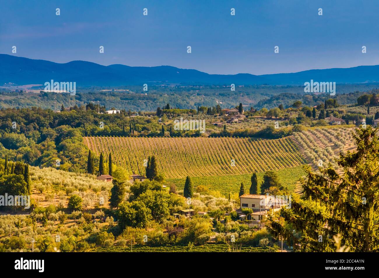 Picturesque view of a beautiful valley in San Gimignano. A typical agricultural landscape with houses, olive tree orchards and a vineyard on a nice... Stock Photo