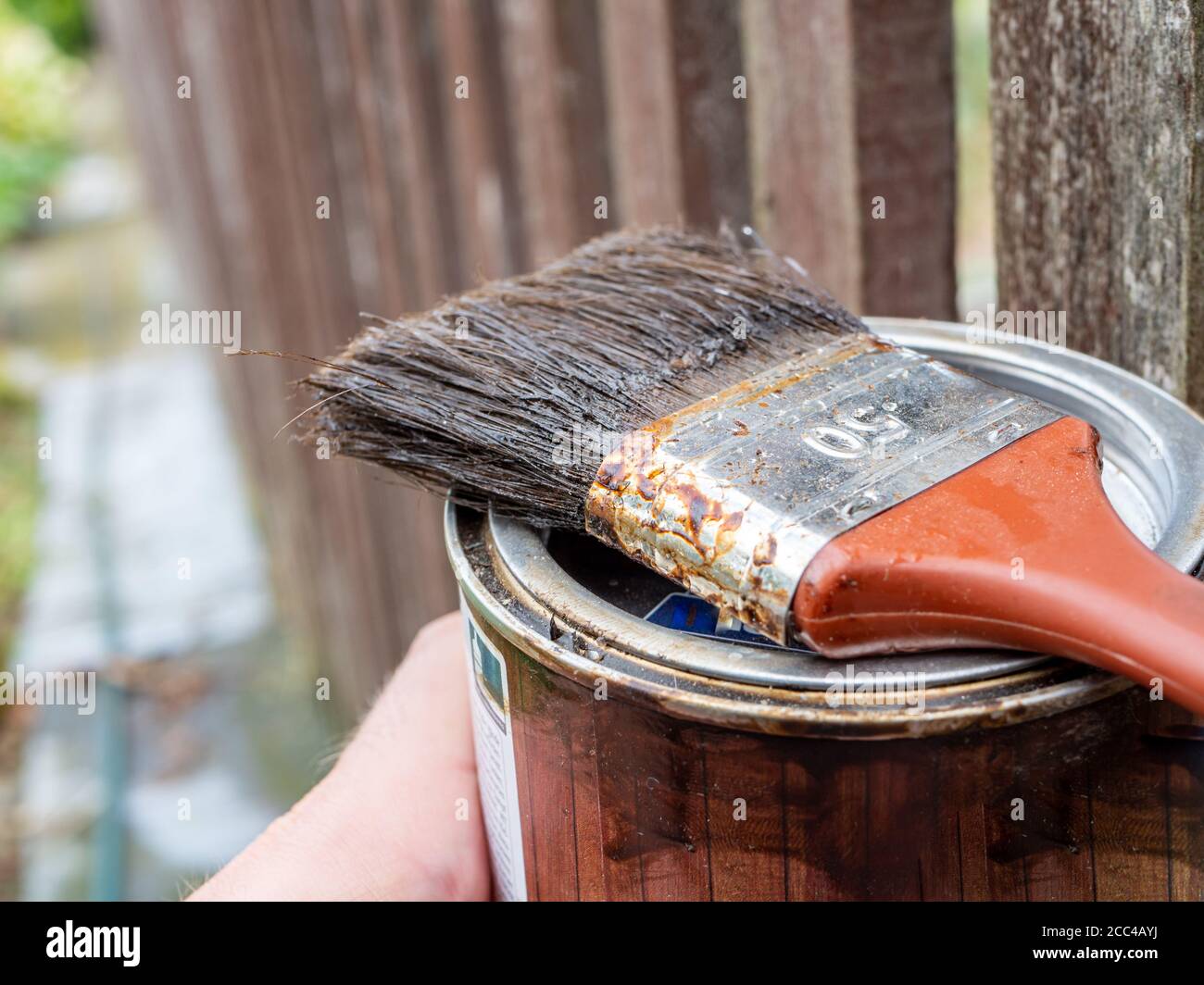 Paint a brush with paint on the garden fence Stock Photo Alamy