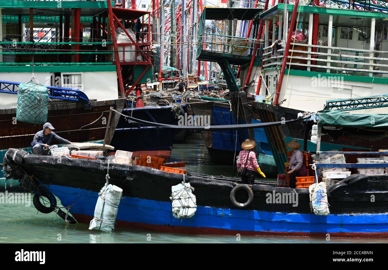 (200818) -- HAIKOU, Aug. 18, 2020 (Xinhua) -- Photo taken on Aug. 18, 2020 shows fishing boats at Xin'gang harbour in the city of Haikou, south China's Hainan Province.  Typhoon Higos is expected to bring torrential downpours to regions in southern China in the following days.   A tropical depression in the northeast of the South China Sea intensified into a typhoon at around 8 a.m. Tuesday, according to the meteorological department of Hainan Province.   The emergency management department of Hainan has issued a typhoon alert, warning that fishing boats and other vessels should return to harb Stock Photo
