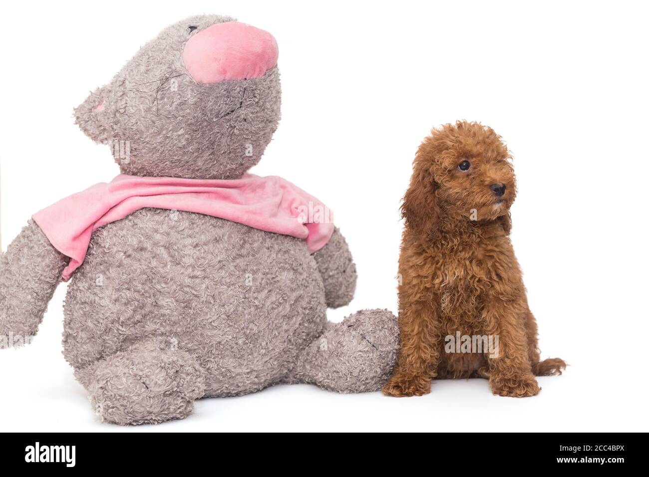 large labradoodle stuffed animal