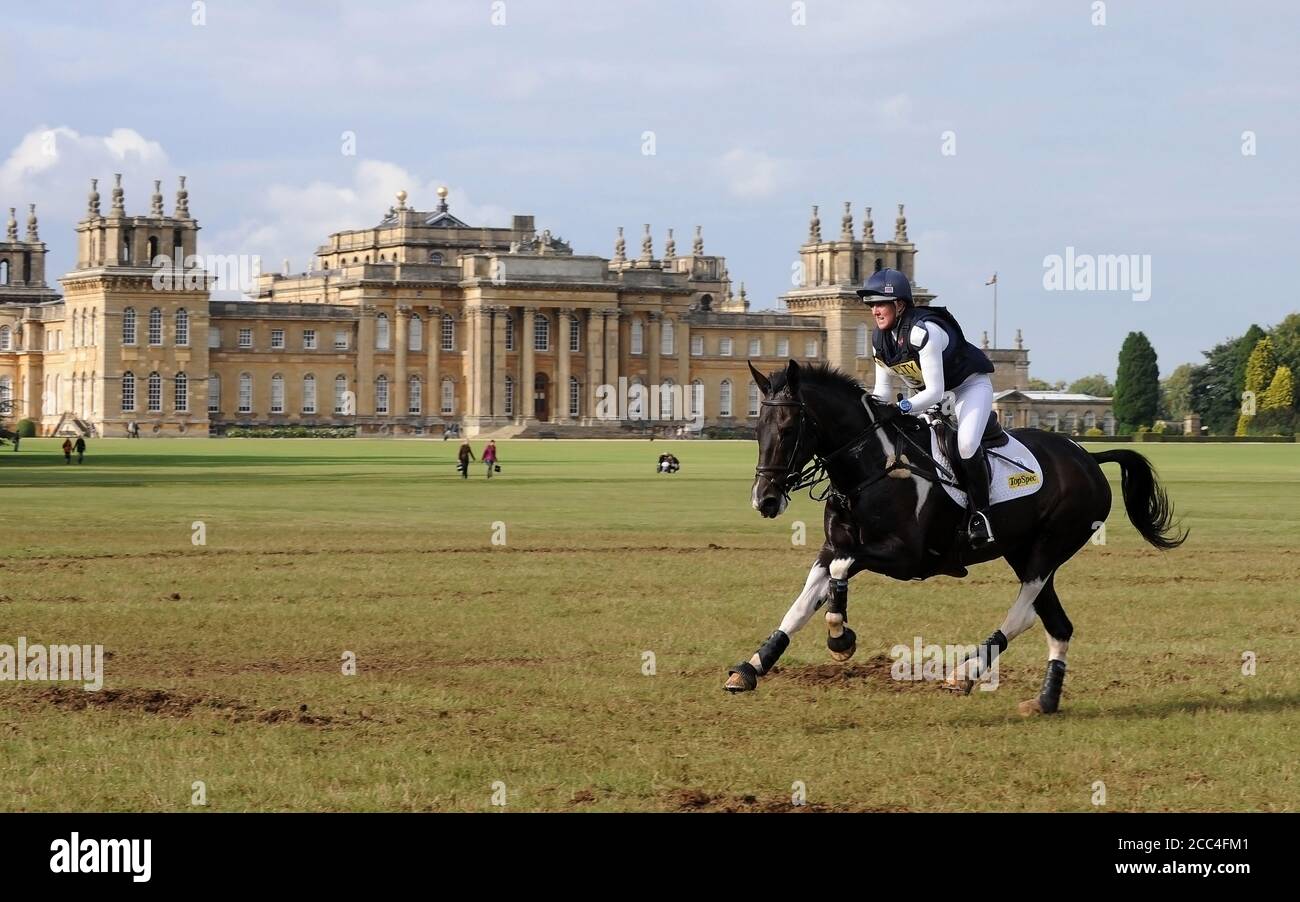 Blenheim Horse trails With Blenheim Palace in the background Stock Photo