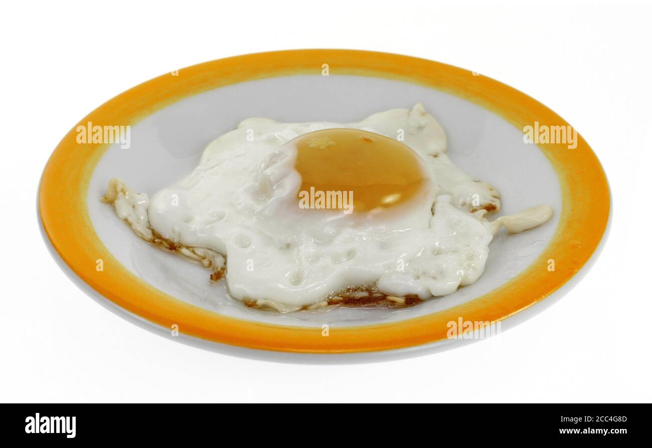 Fried egg on a plate isolated on white background Stock Photo - Alamy