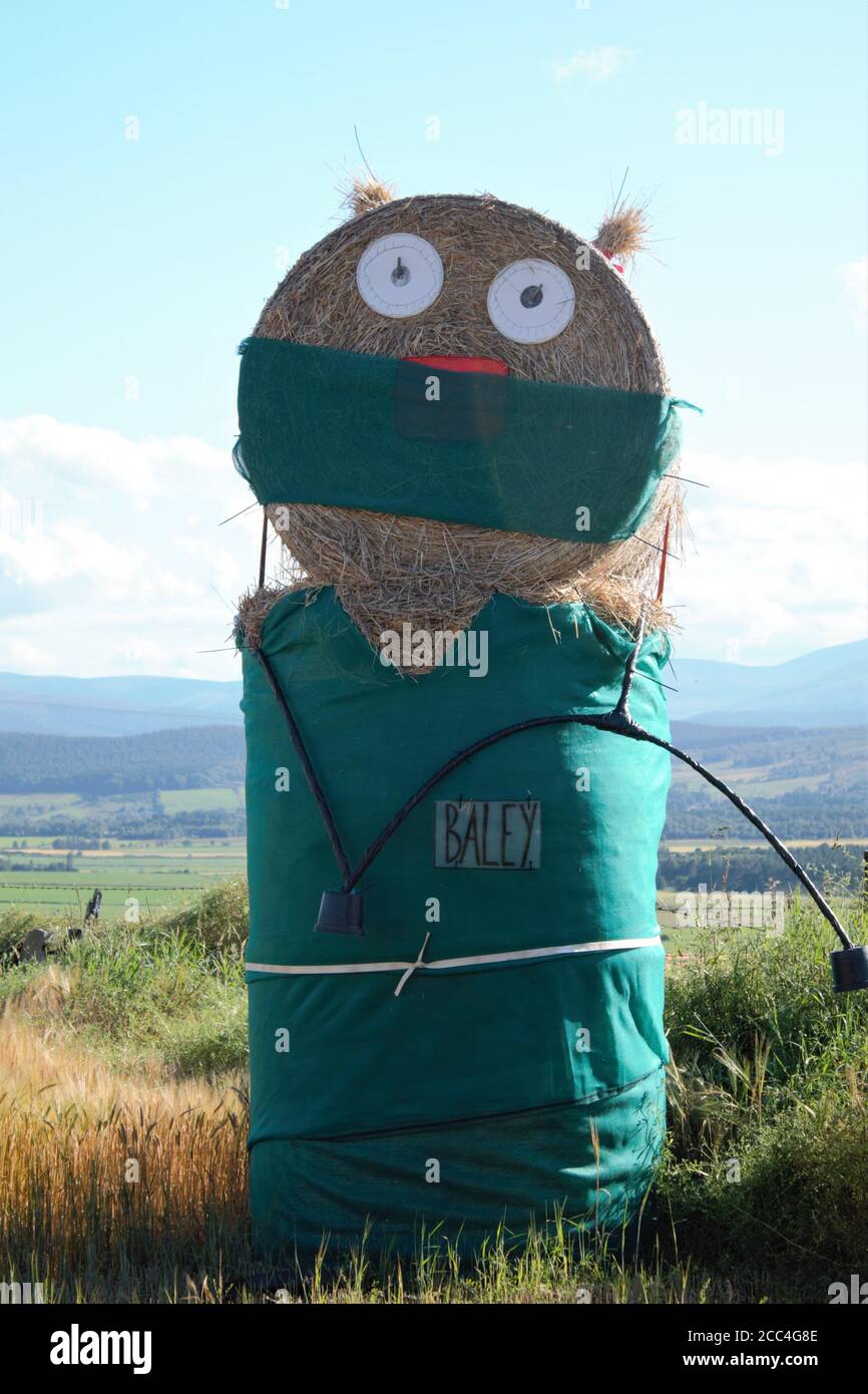 Hay bale dressed up in green scrubs with face mask isolated Stock Photo