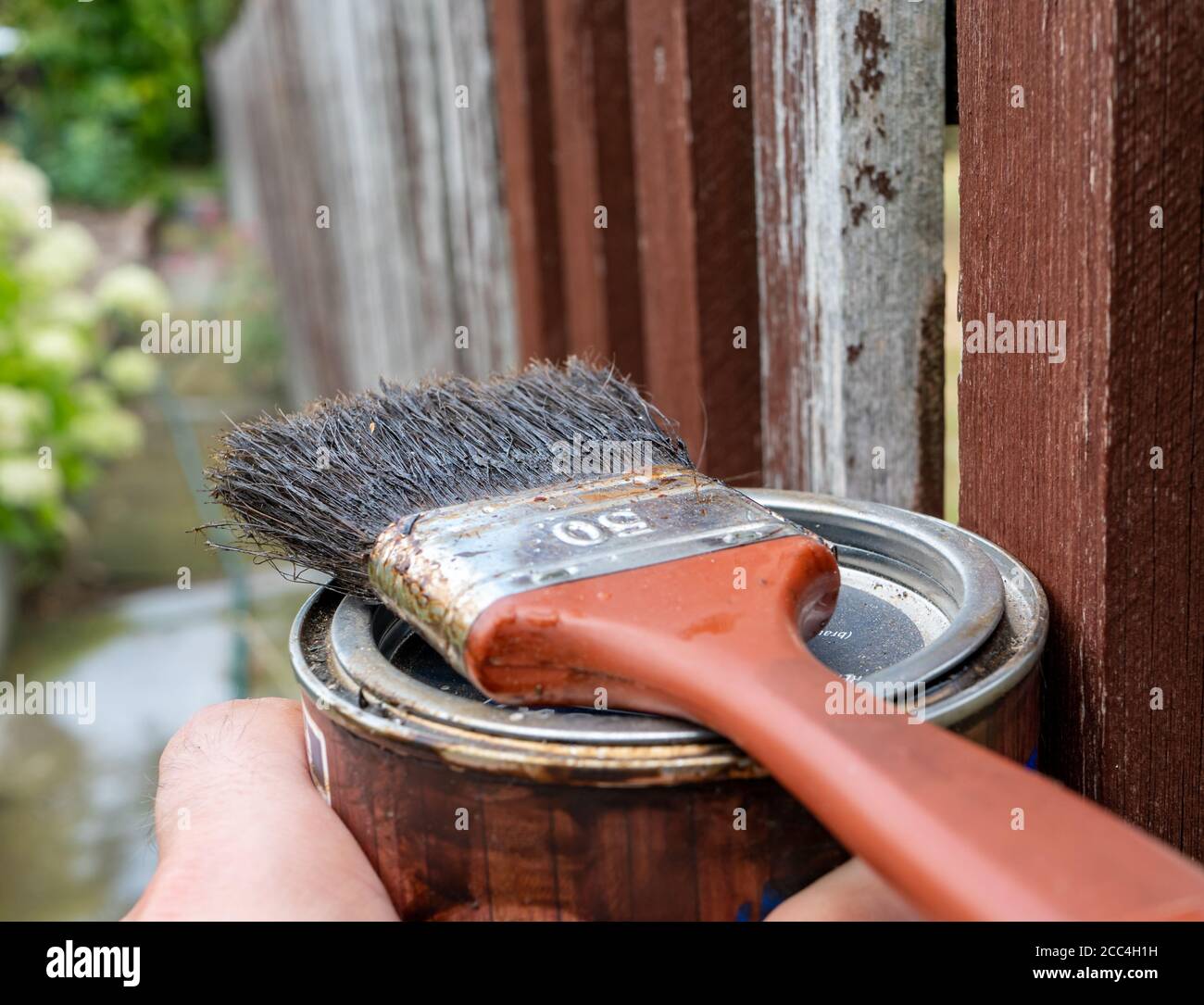 Paint a brush with paint on the garden fence Stock Photo Alamy