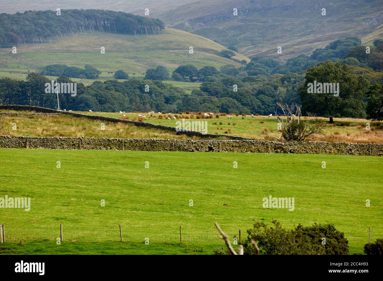 LANCASTER countryside around Crossgill, Lancashire Stock Photo Alamy