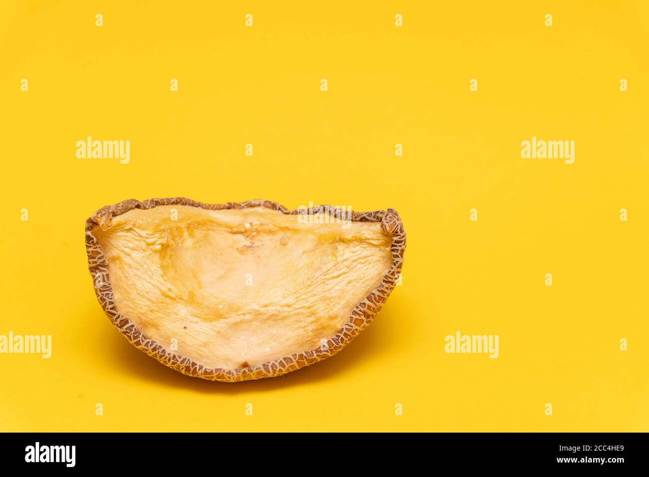 Closeup of moldy dried melon at yellow background Stock Photo Alamy